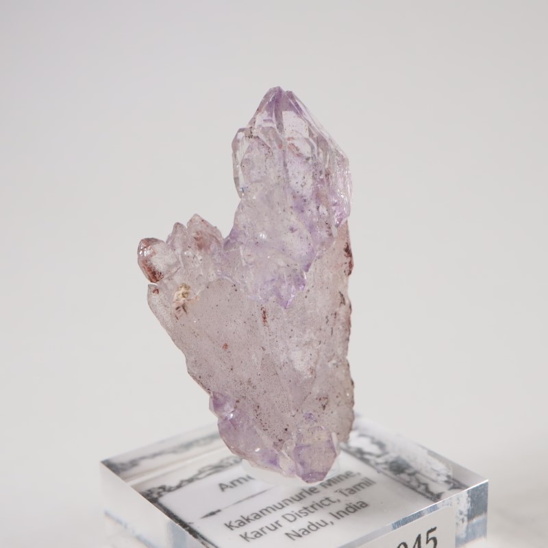 ����ɻ� ���᥷����