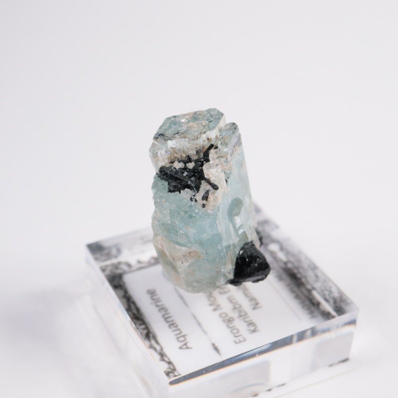 �ʥߥӥ��� �������ޥ��