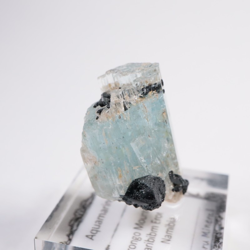 �ʥߥӥ��� �������ޥ��