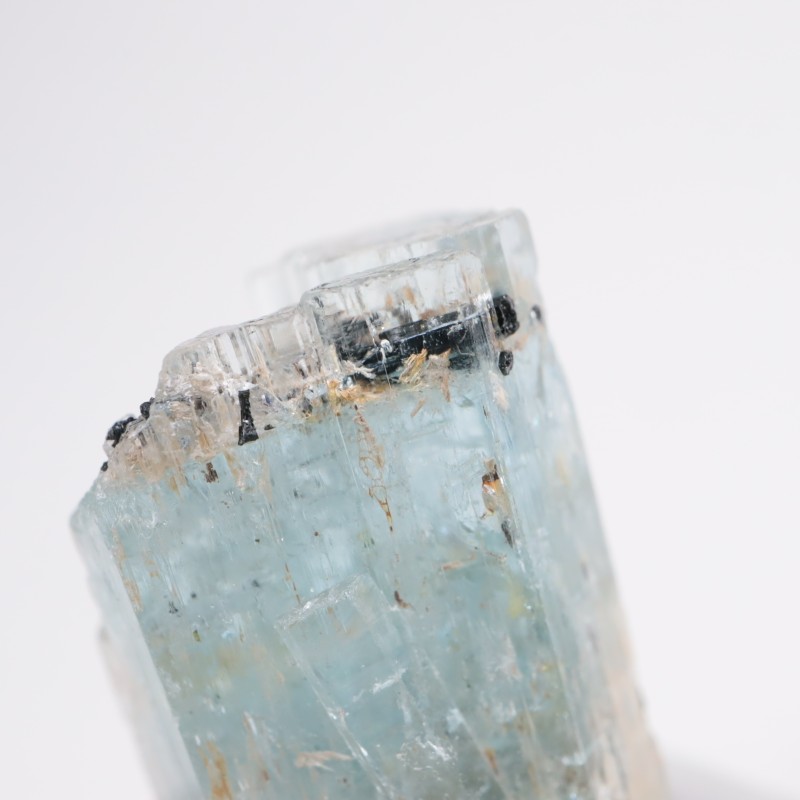 �ʥߥӥ��� �������ޥ��