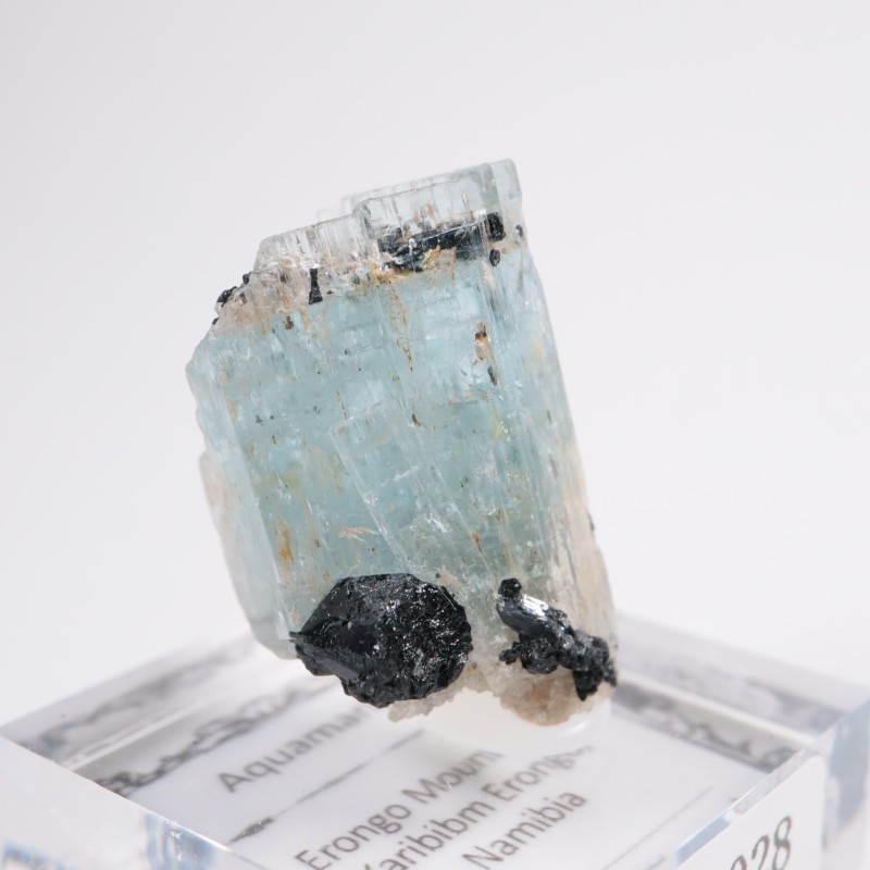 �ʥߥӥ��� �������ޥ��