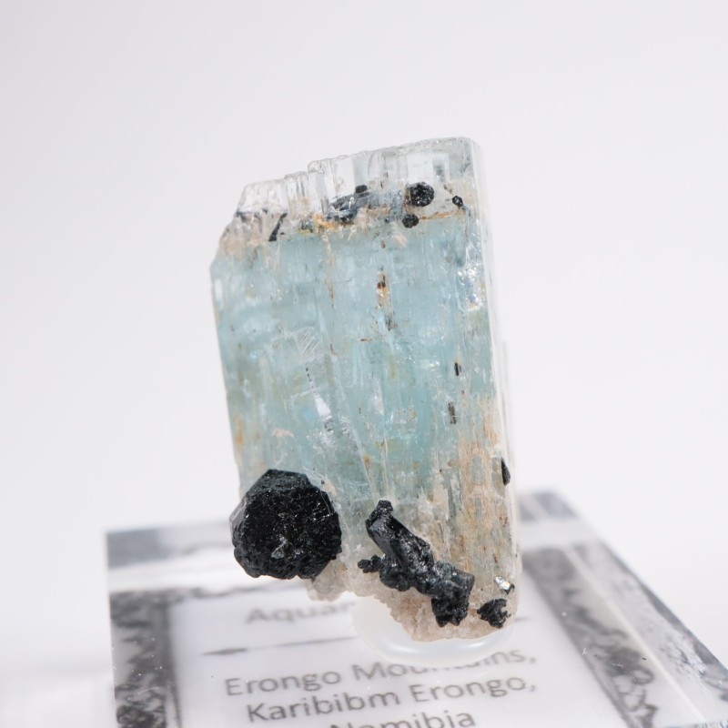 �ʥߥӥ��� �������ޥ��