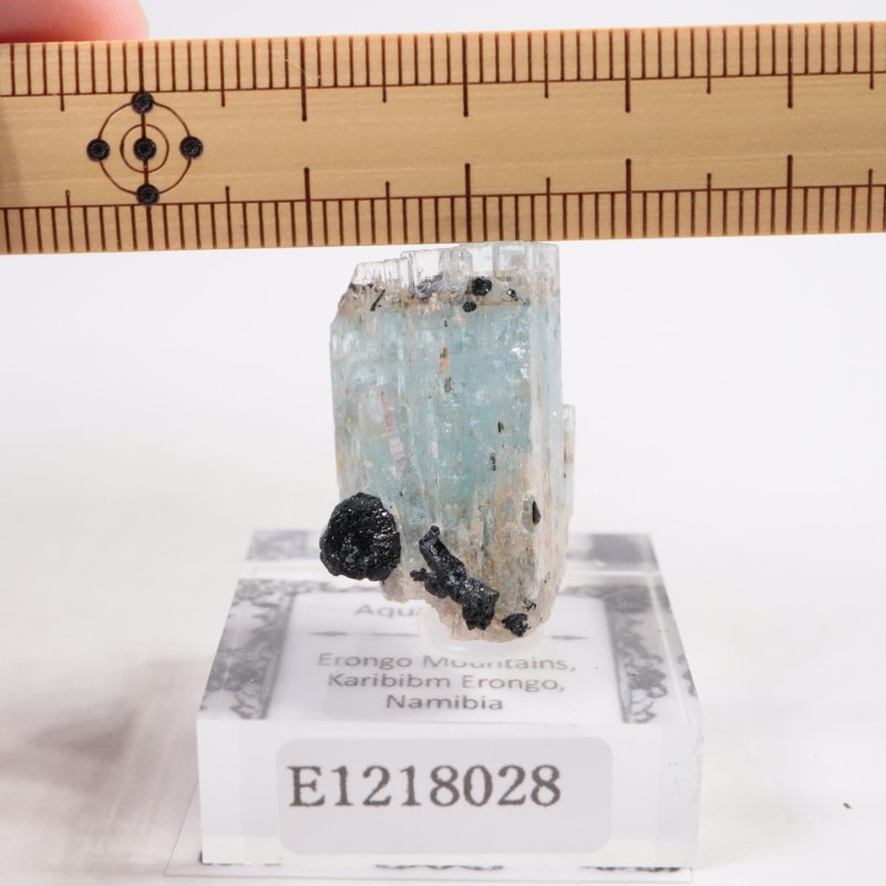 �ʥߥӥ��� �������ޥ��