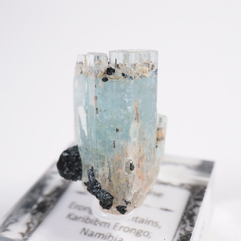 �ʥߥӥ��� �������ޥ��