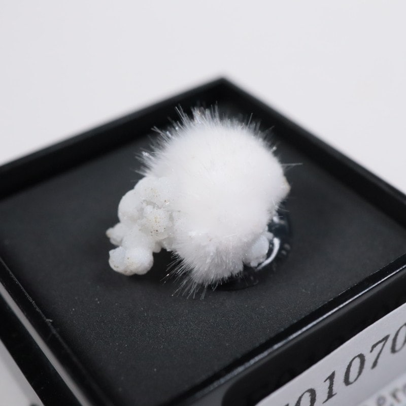 ����ɻ��������ʥ���