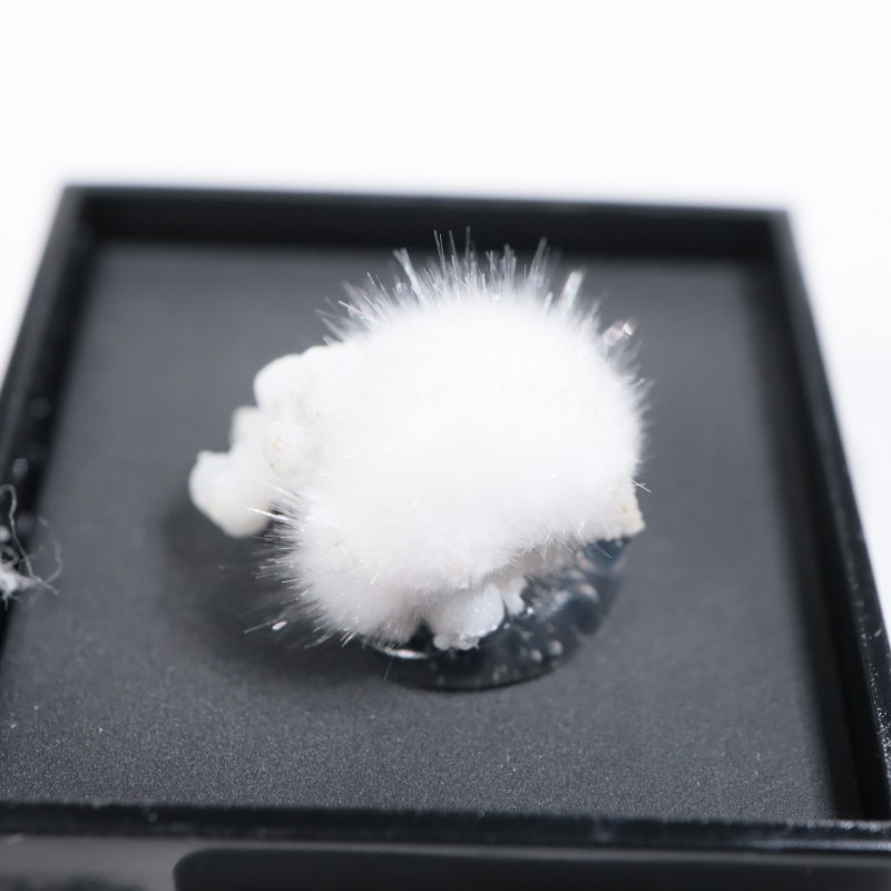 ����ɻ��������ʥ���