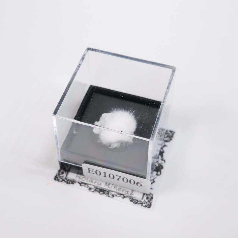 ����ɻ��������ʥ���