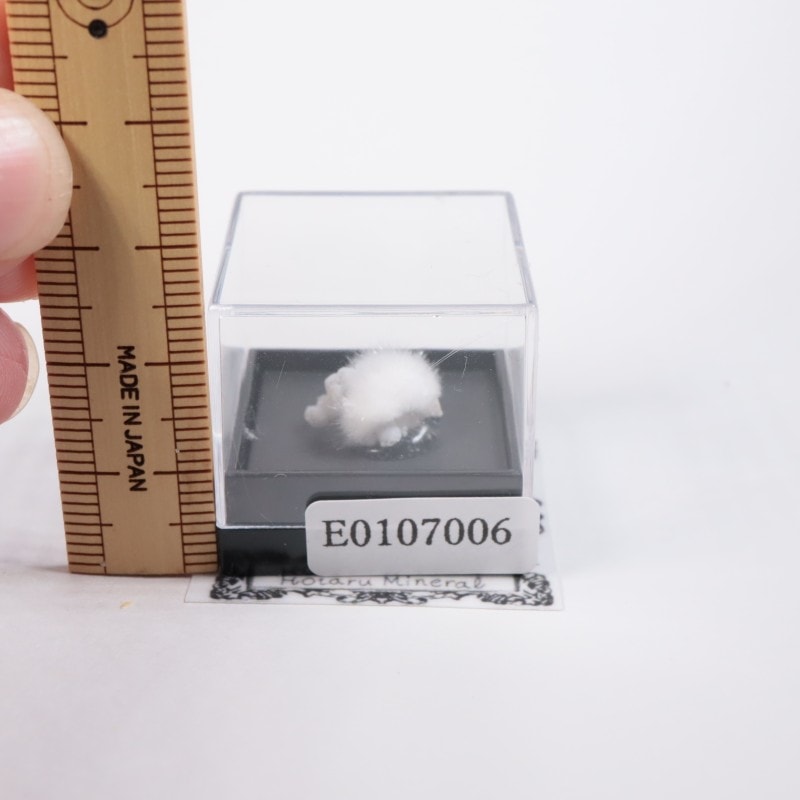 ����ɻ��������ʥ���