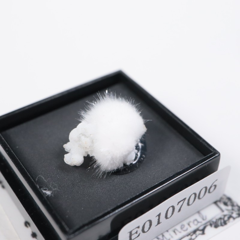 ����ɻ��������ʥ���