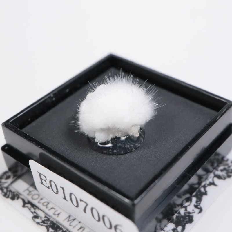 ����ɻ��������ʥ���