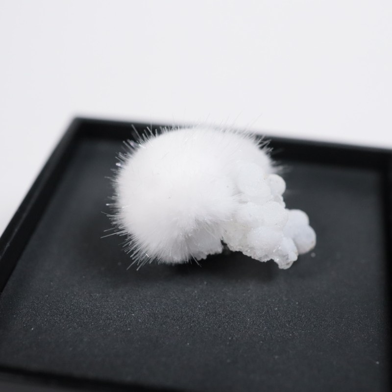 ����ɻ��������ʥ���