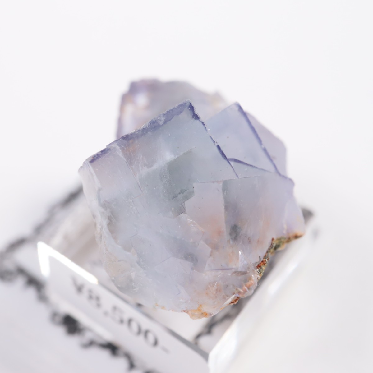 �䥪���󥷥��ۻ� �ե����饤��