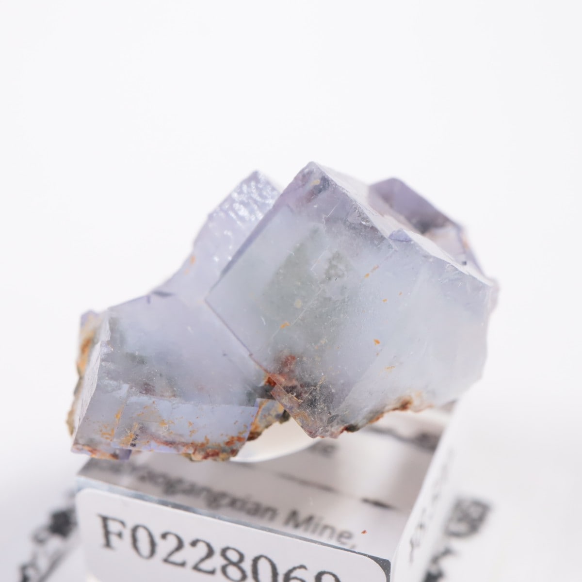 �䥪���󥷥��ۻ� �ե����饤��