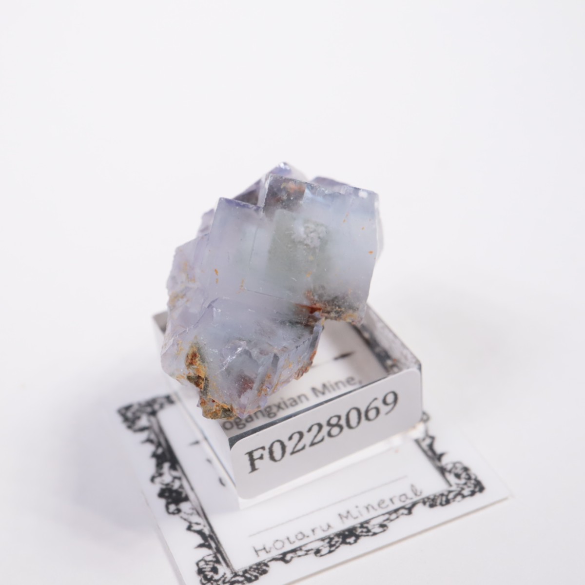 �䥪���󥷥��ۻ� �ե����饤��