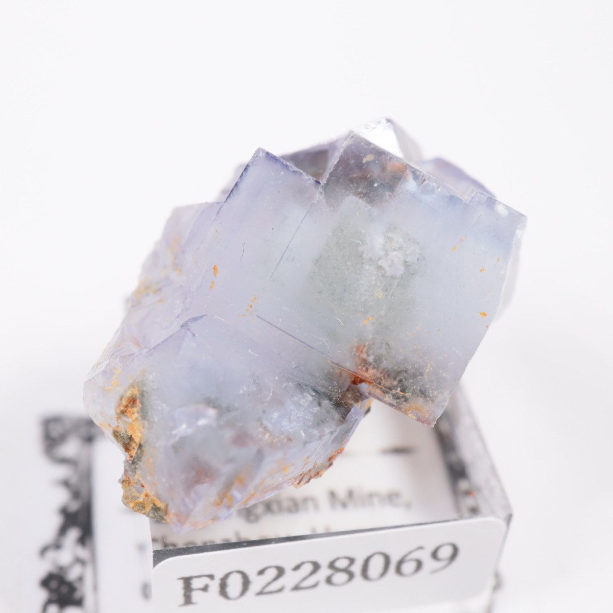 �䥪���󥷥��ۻ� �ե����饤��