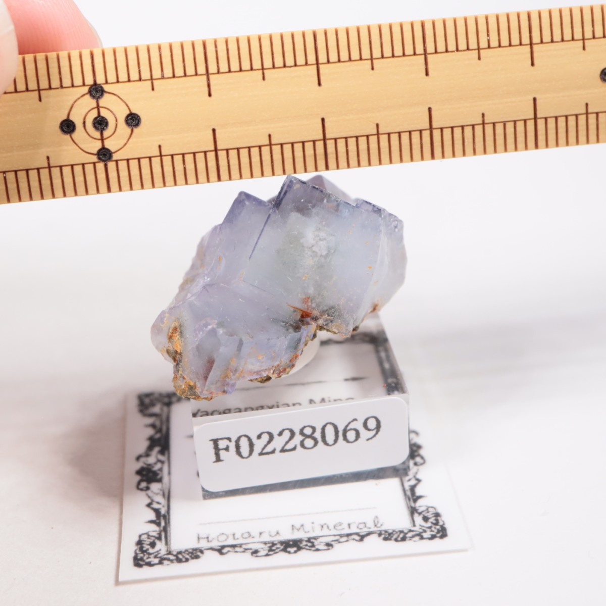 �䥪���󥷥��ۻ� �ե����饤��