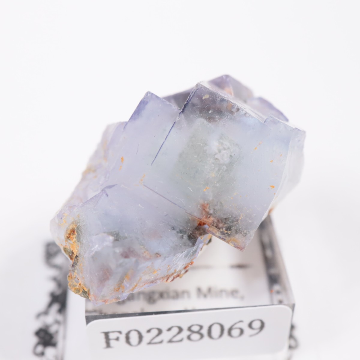 �䥪���󥷥��ۻ� �ե����饤��