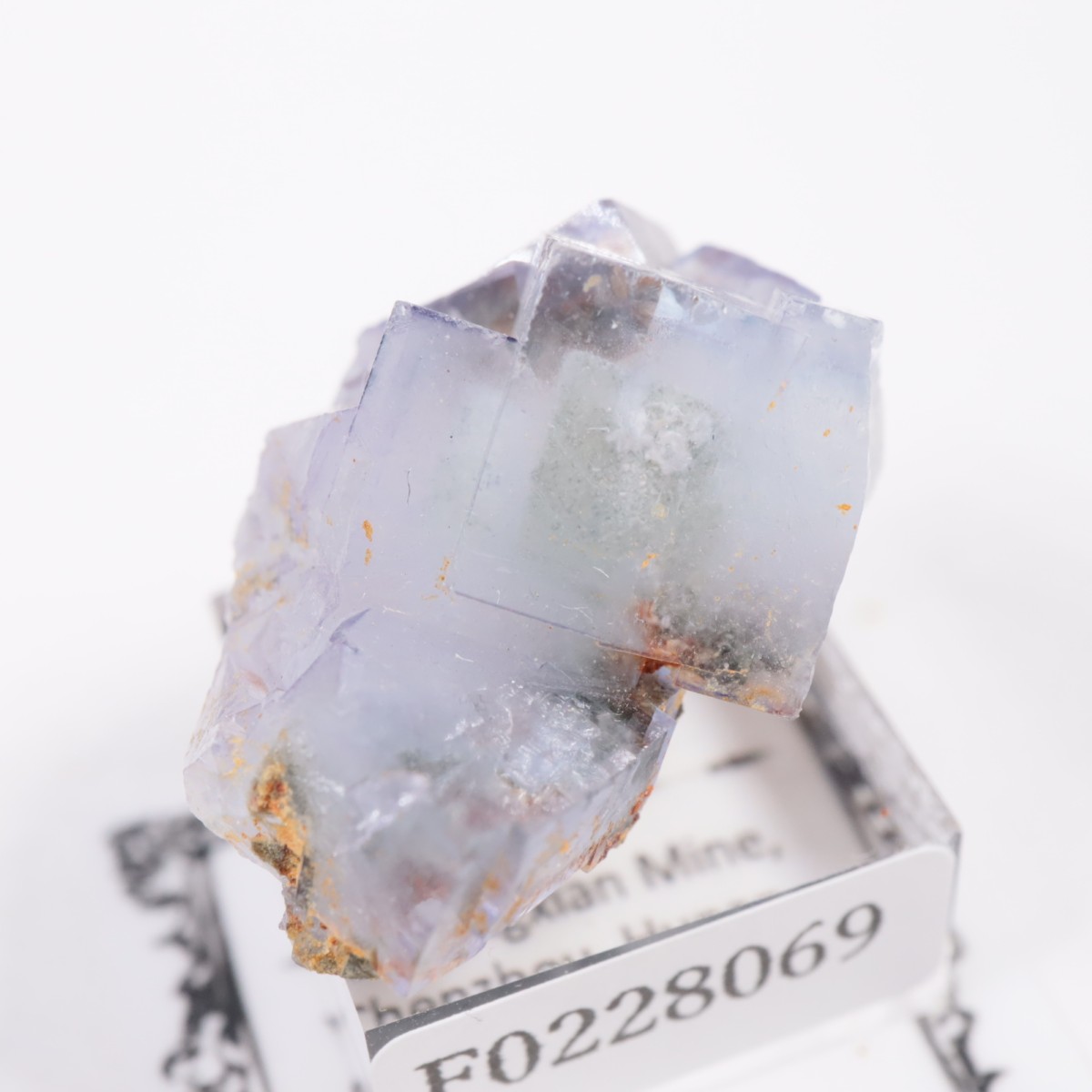 �䥪���󥷥��ۻ� �ե����饤��