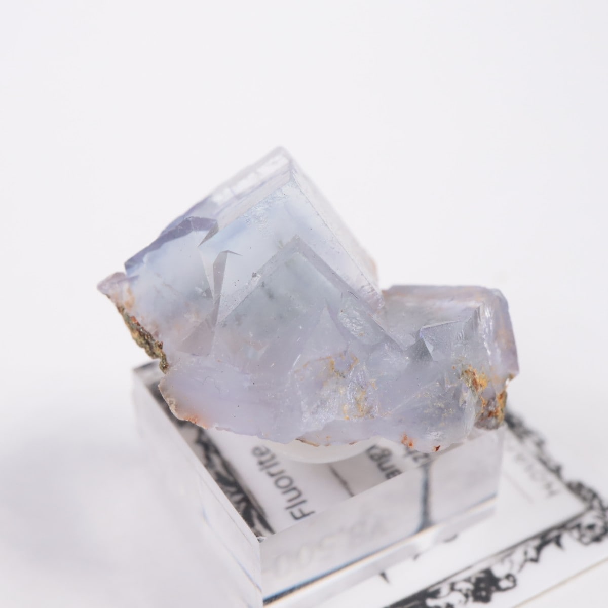 �䥪���󥷥��ۻ� �ե����饤��