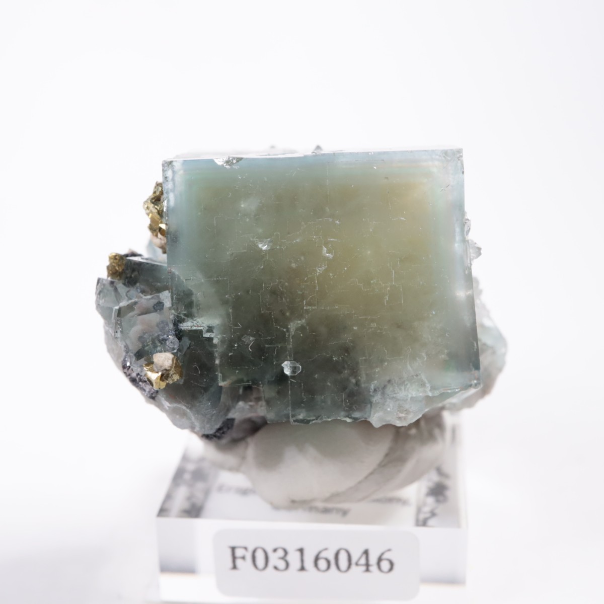 �ɥ��Ļ� �ե����饤��