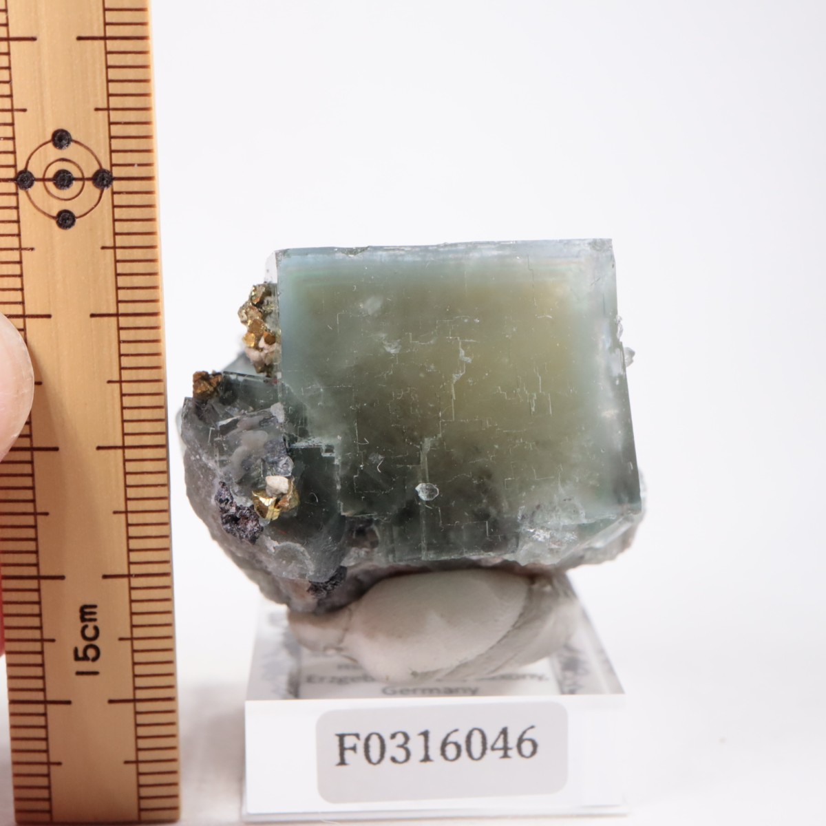 �ɥ��Ļ� �ե����饤��