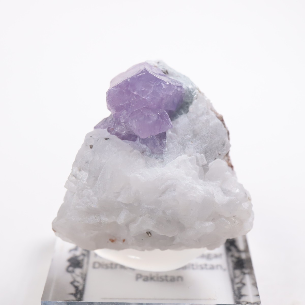 �ѥ������� ��������ʥ��ե�������