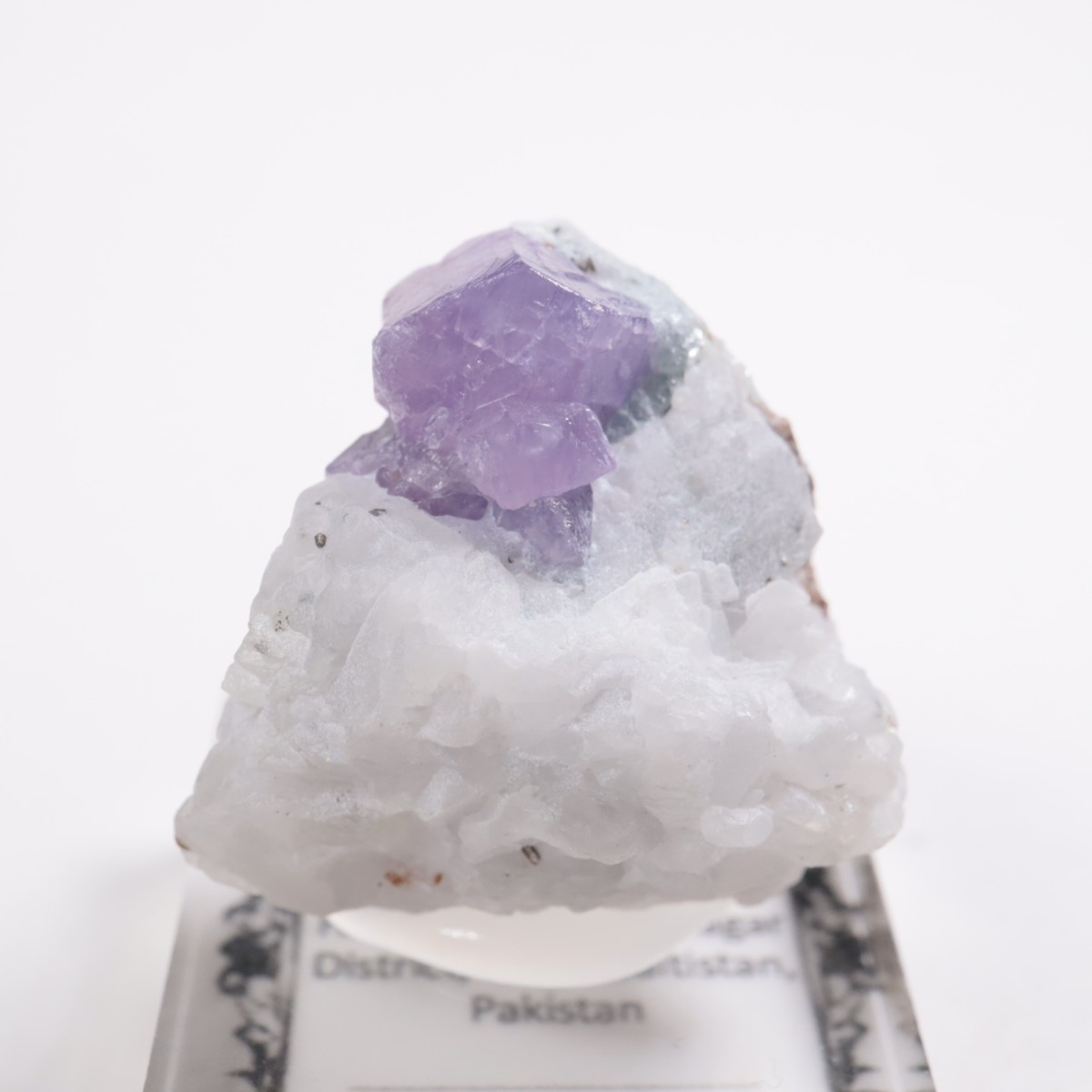 �ѥ������� ��������ʥ��ե�������