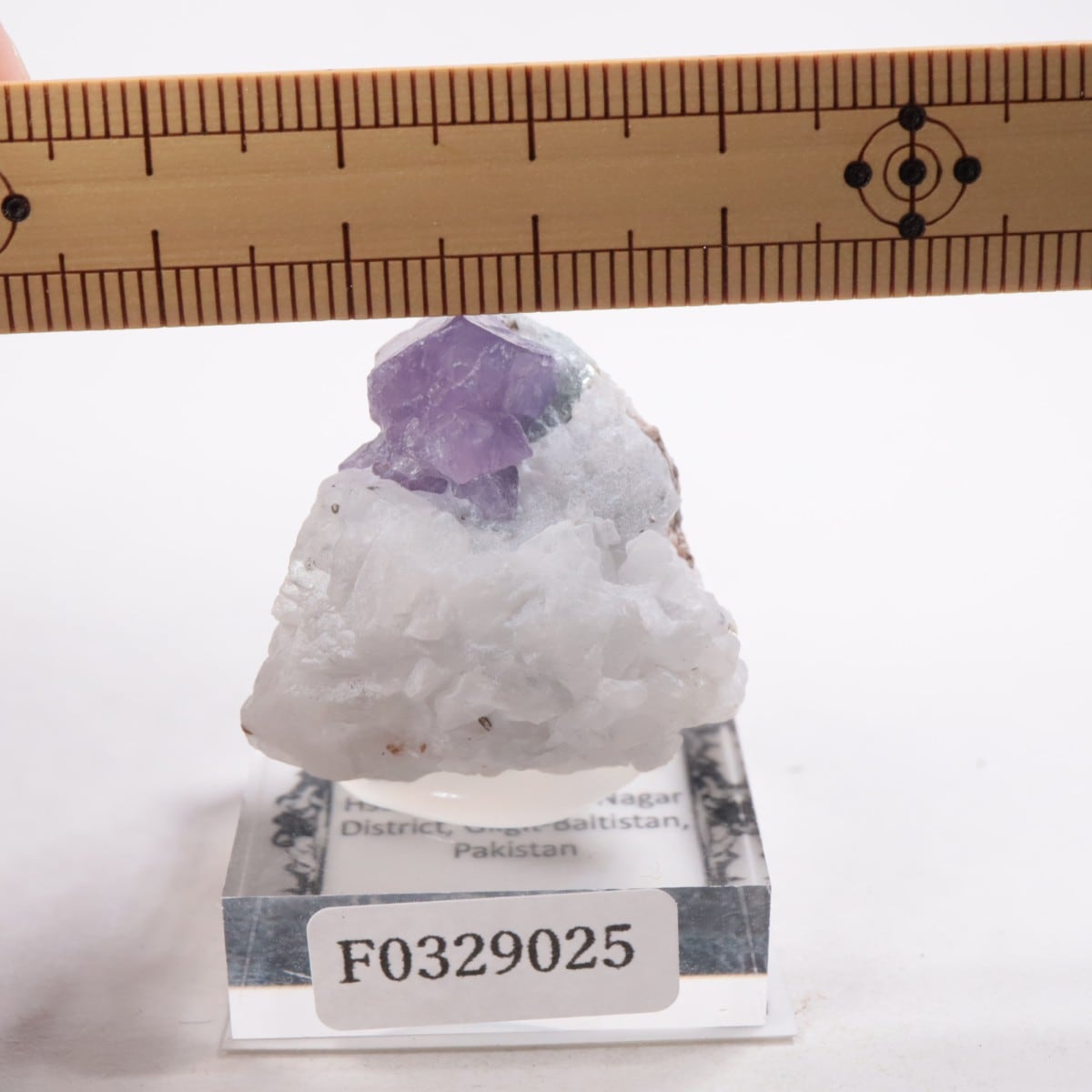 �ѥ������� ��������ʥ��ե�������