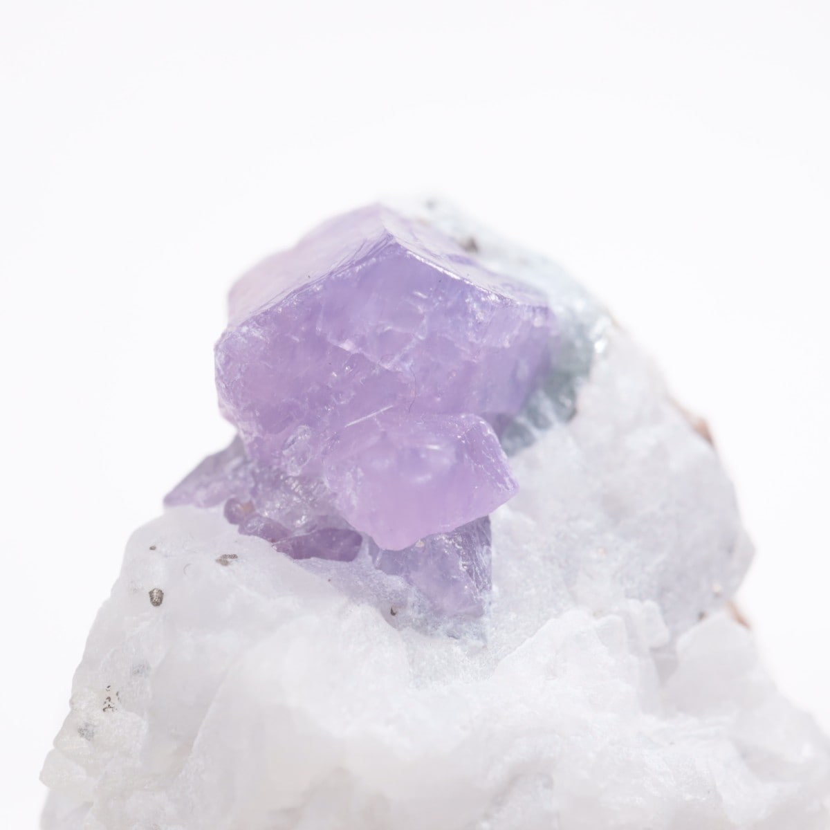 �ѥ������� ��������ʥ��ե�������