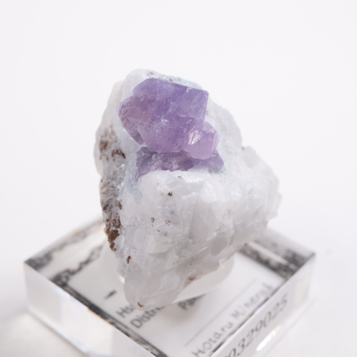 �ѥ������� ��������ʥ��ե�������