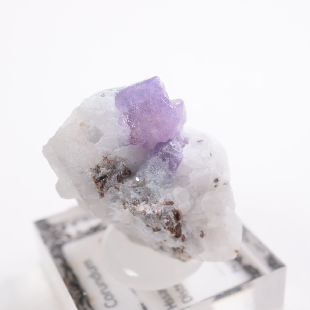 �ѥ������� ��������ʥ��ե�������