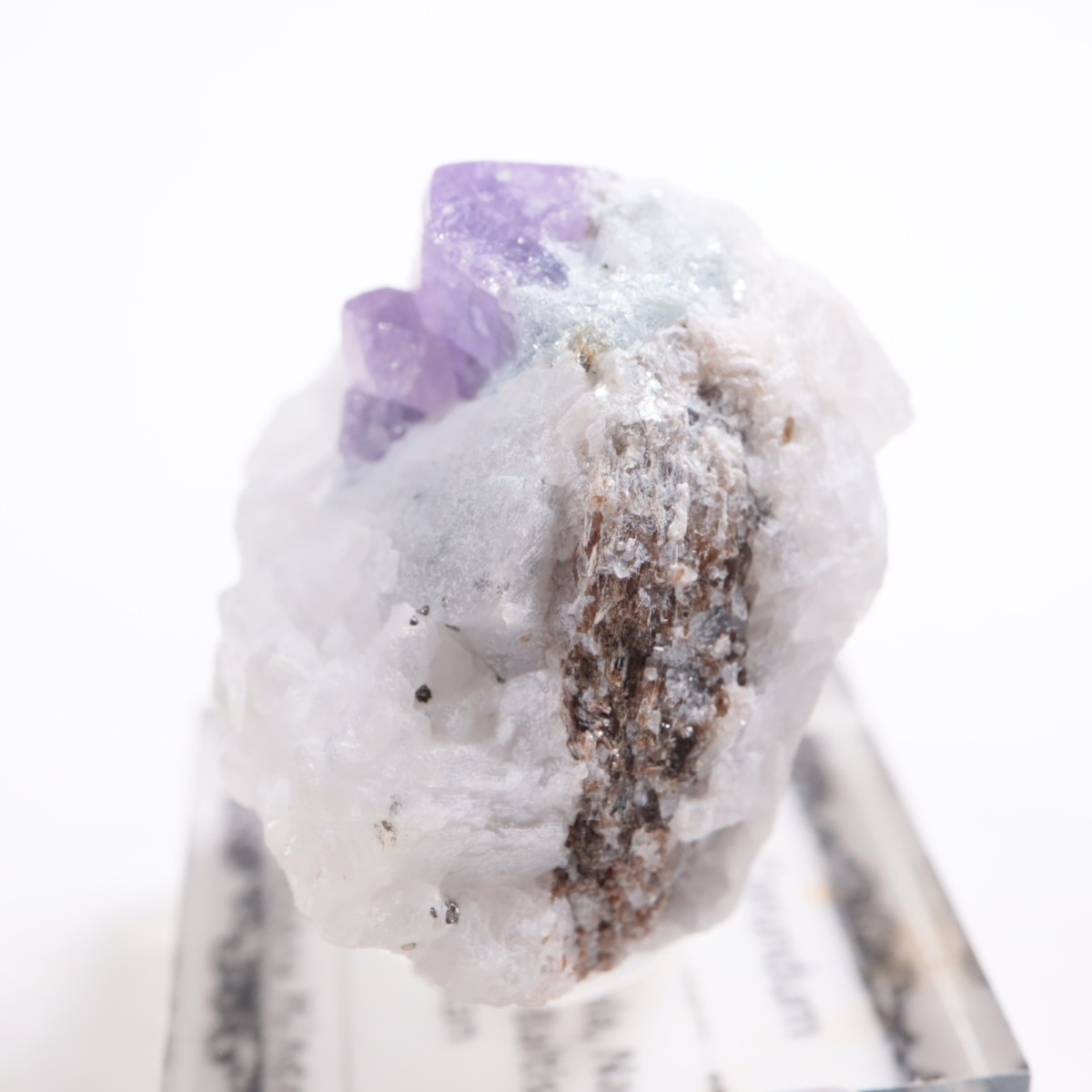 �ѥ������� ��������ʥ��ե�������