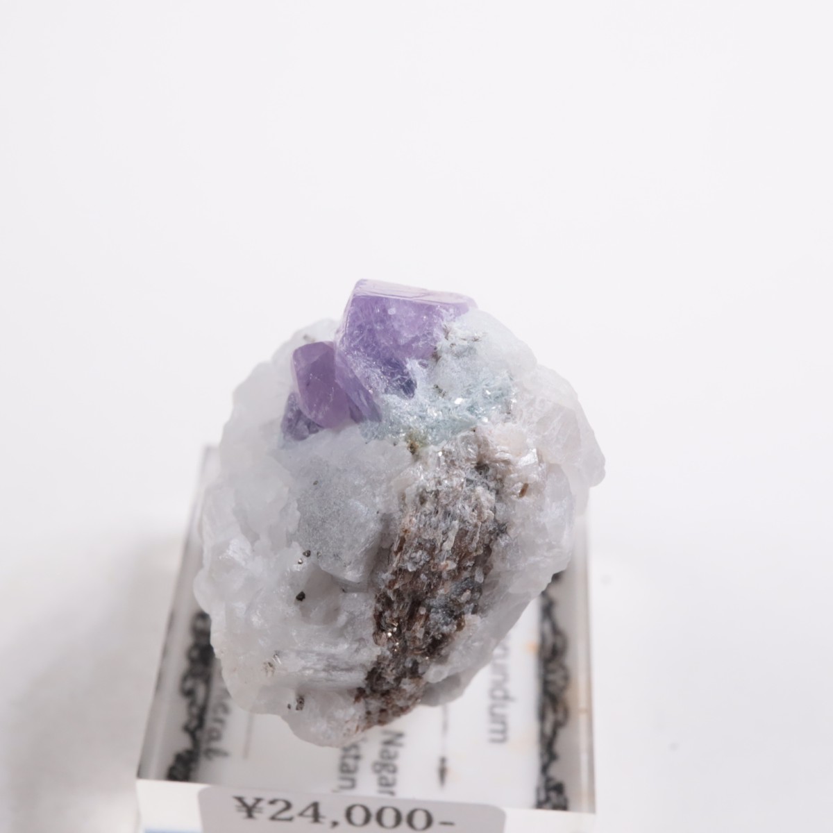 �ѥ������� ��������ʥ��ե�������