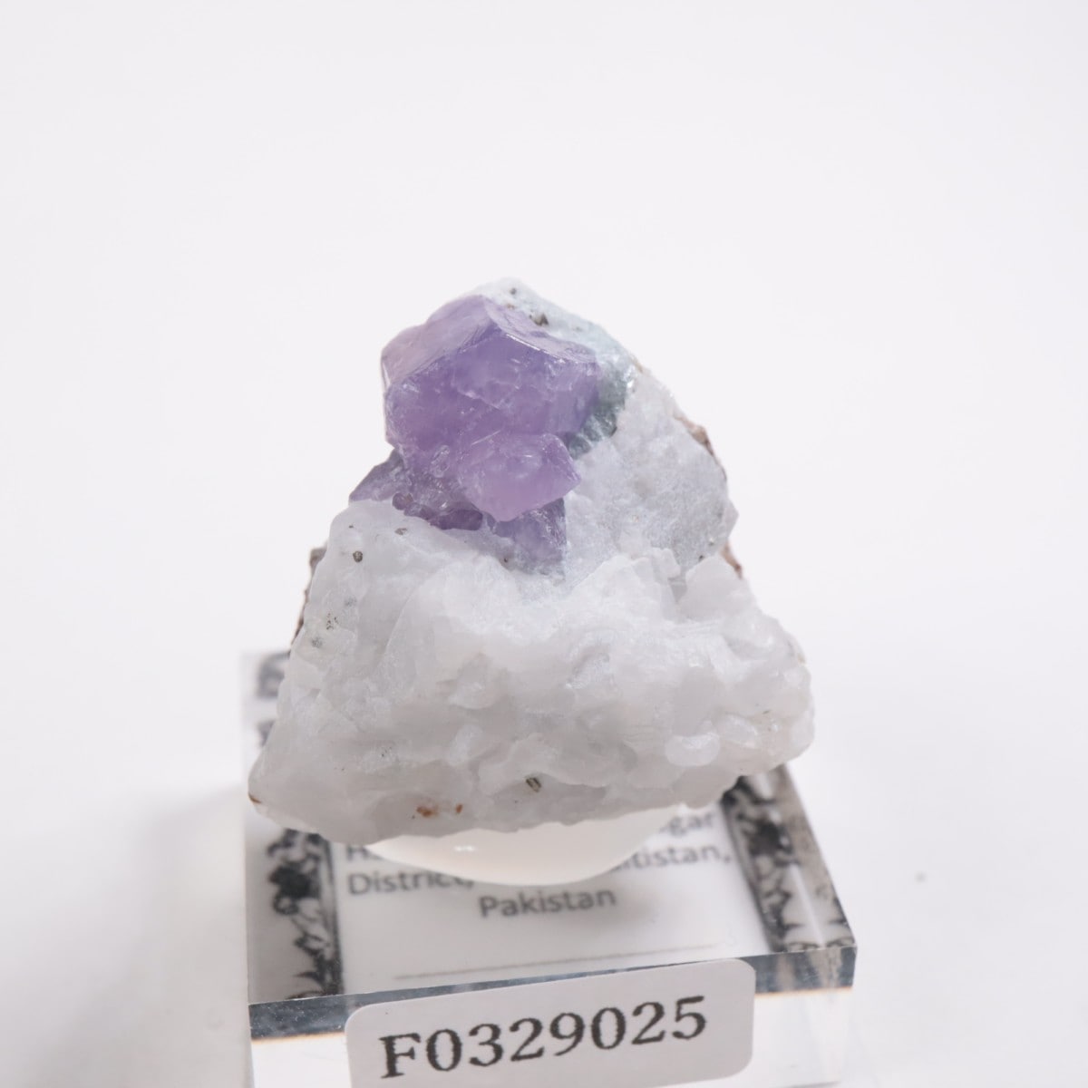 �ѥ������� ��������ʥ��ե�������