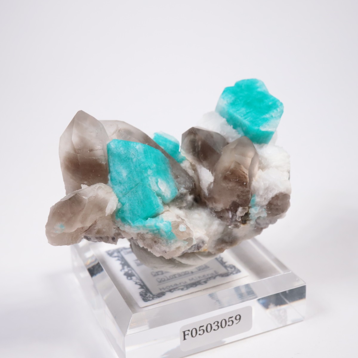 ������ɽ��� ���ޥ��ʥ��ȡ���徽