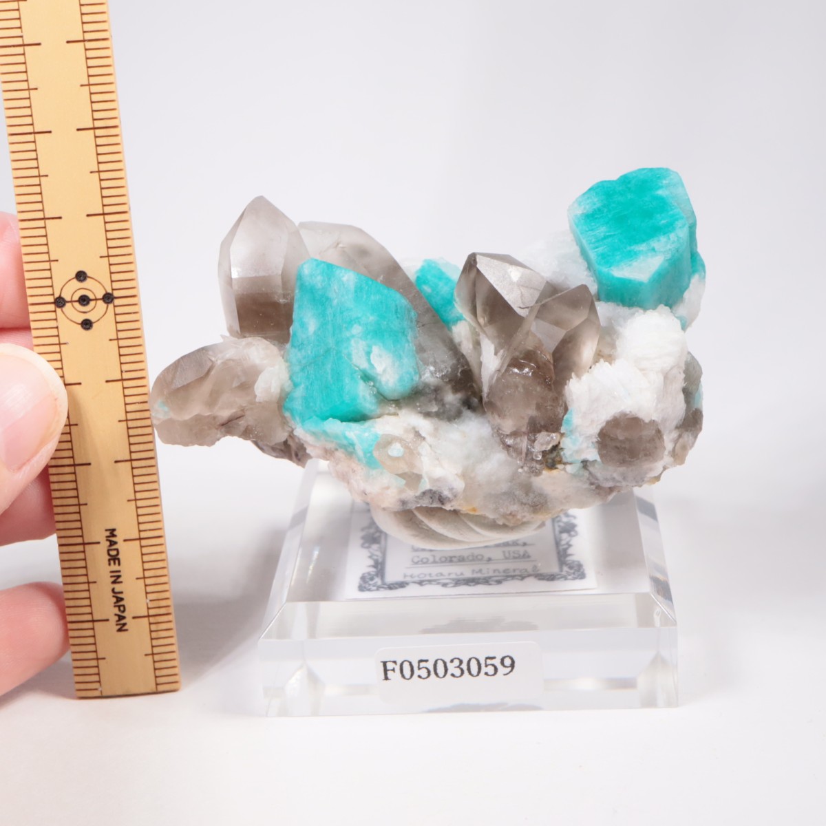 ������ɽ��� ���ޥ��ʥ��ȡ���徽