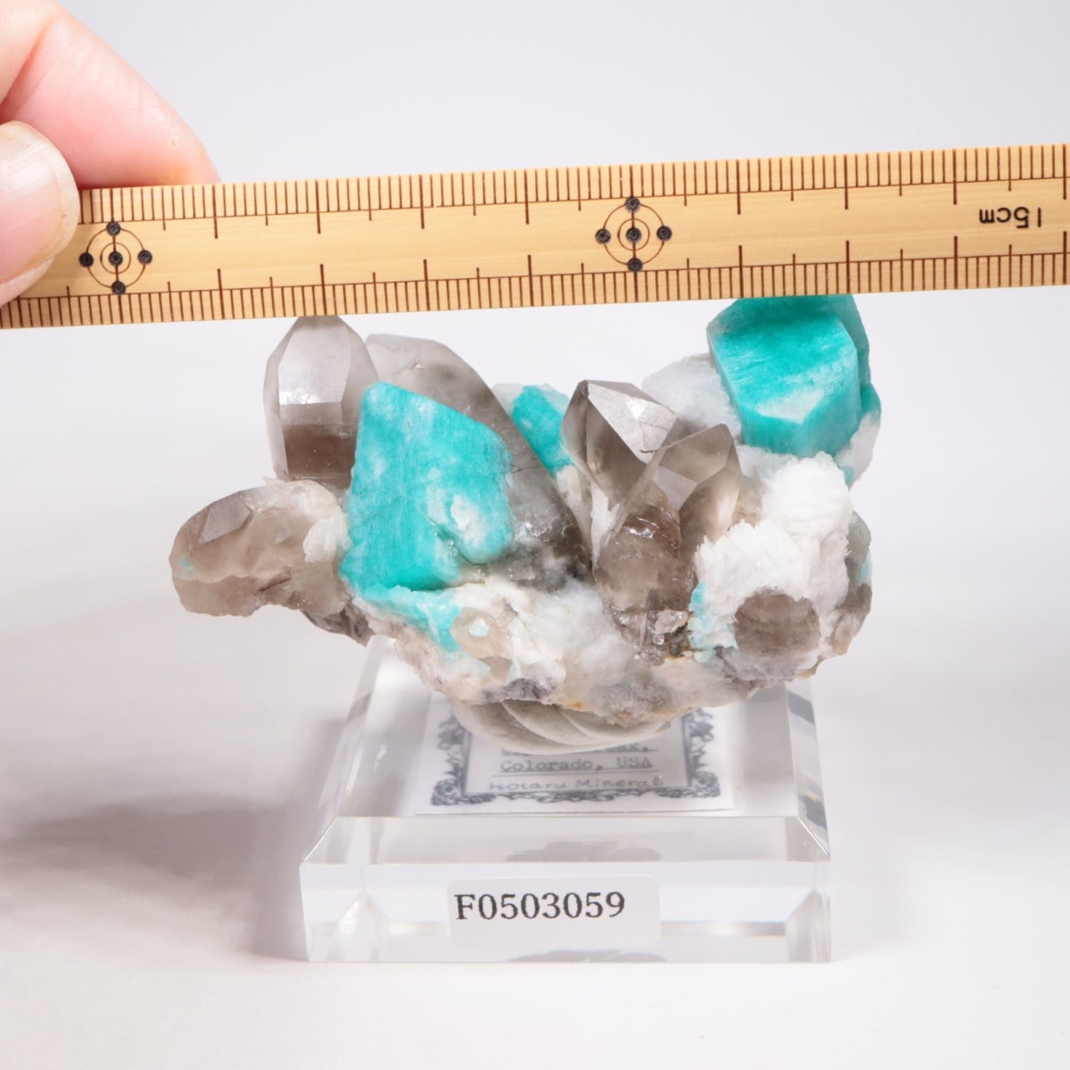 ������ɽ��� ���ޥ��ʥ��ȡ���徽