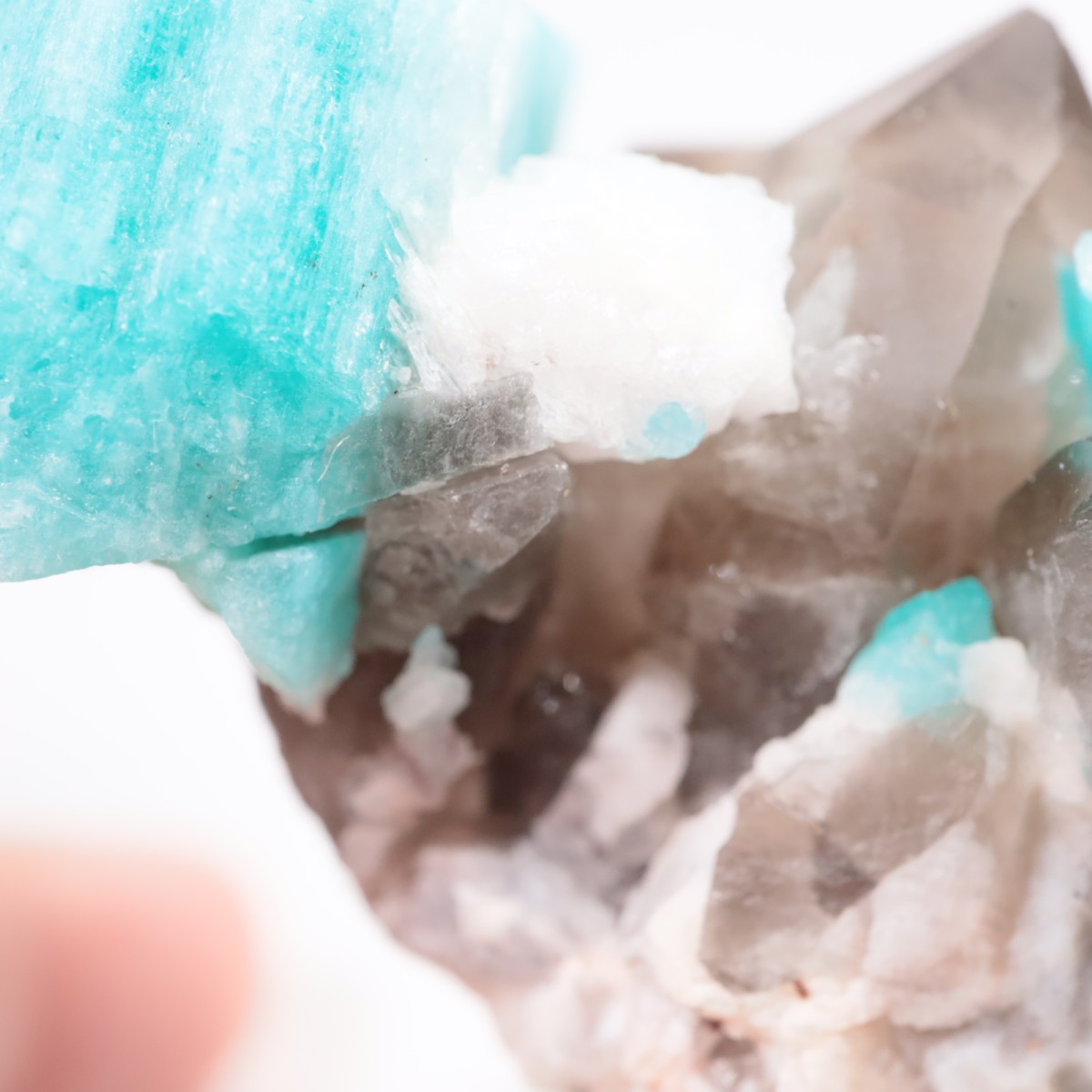 ������ɽ��� ���ޥ��ʥ��ȡ���徽