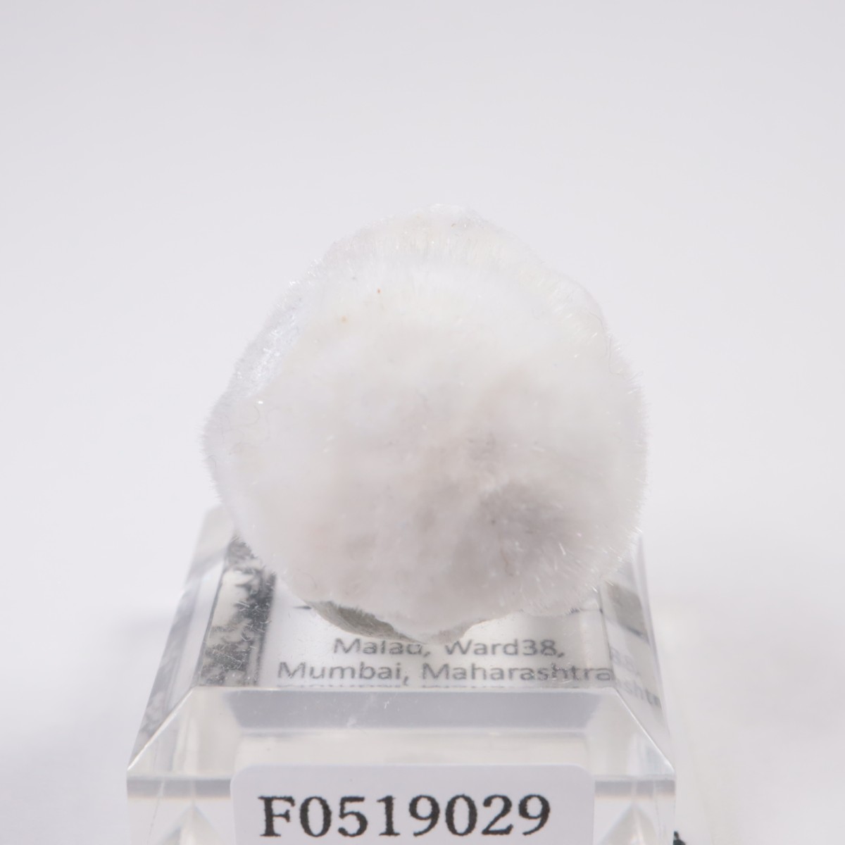 ����ɻ� �����ʥ���