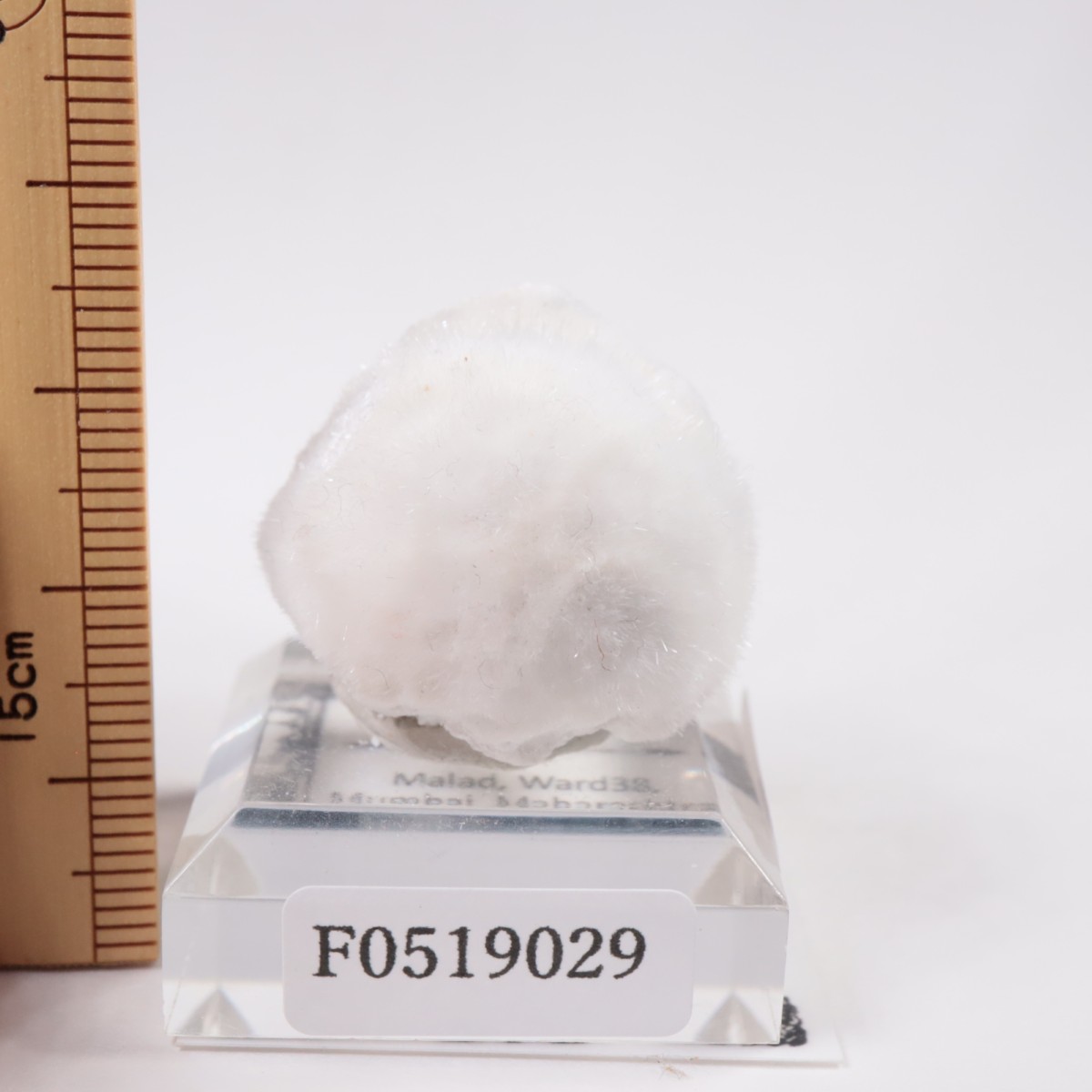 ����ɻ� �����ʥ���