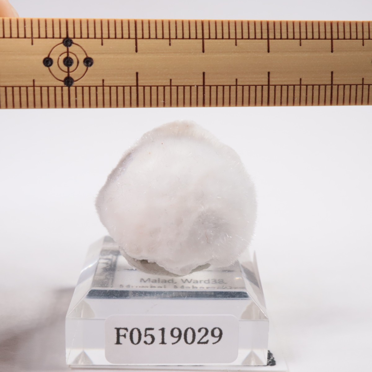 ����ɻ� �����ʥ���