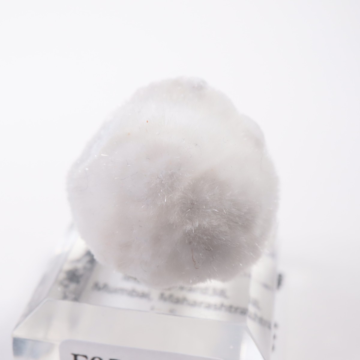 ����ɻ� �����ʥ���