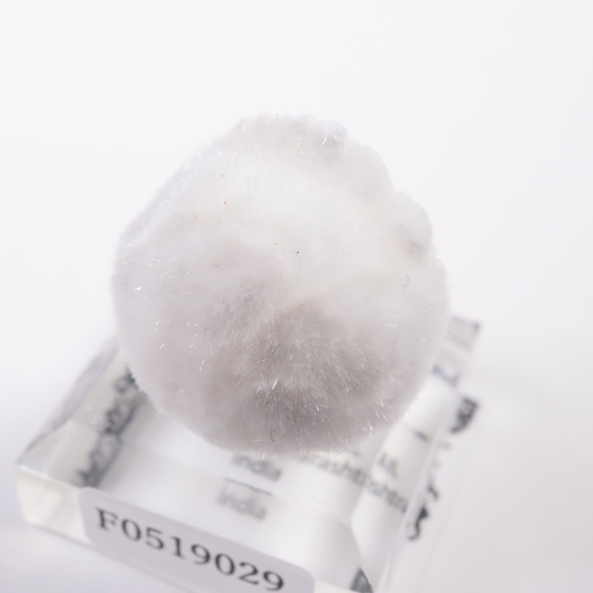 ����ɻ� �����ʥ���