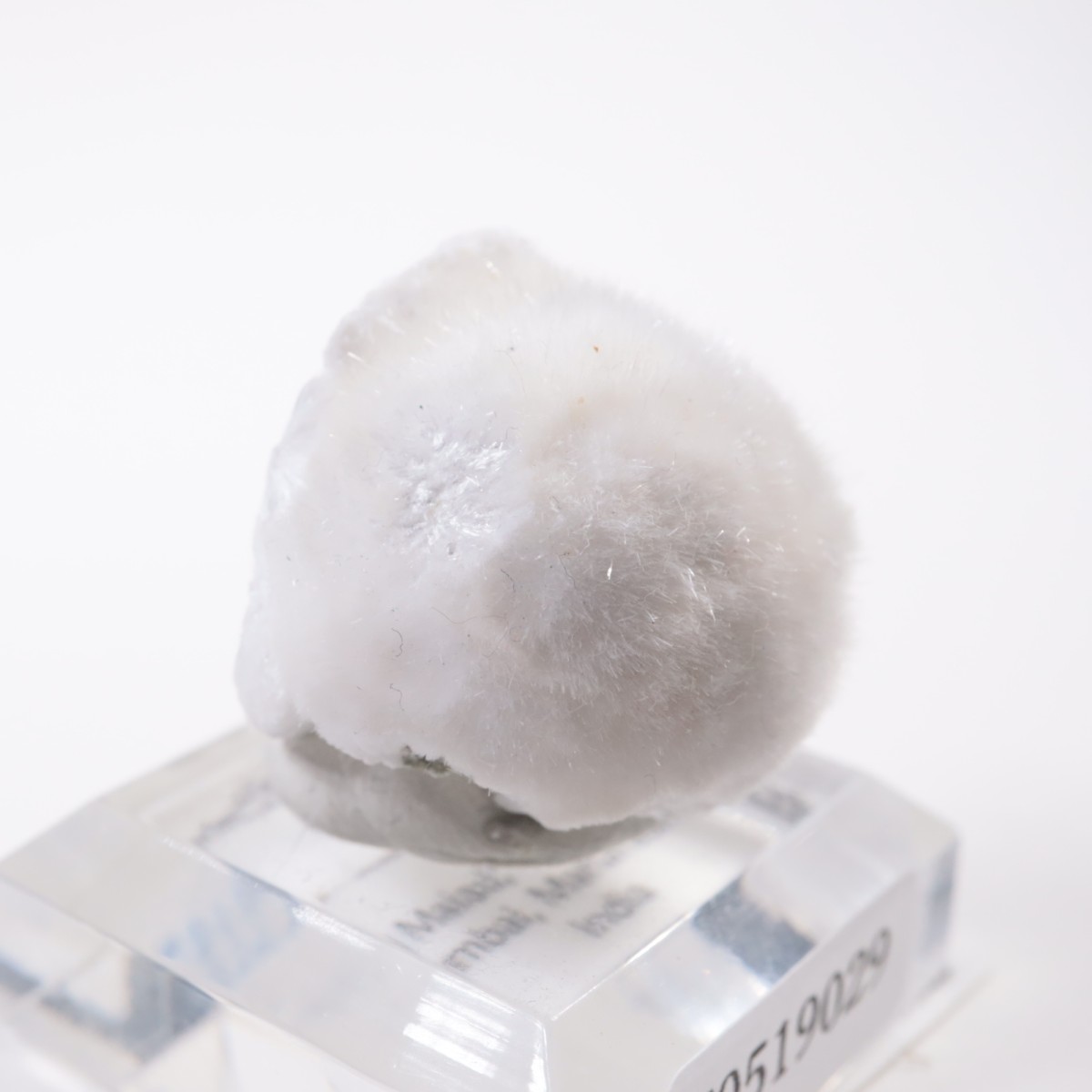 ����ɻ� �����ʥ���