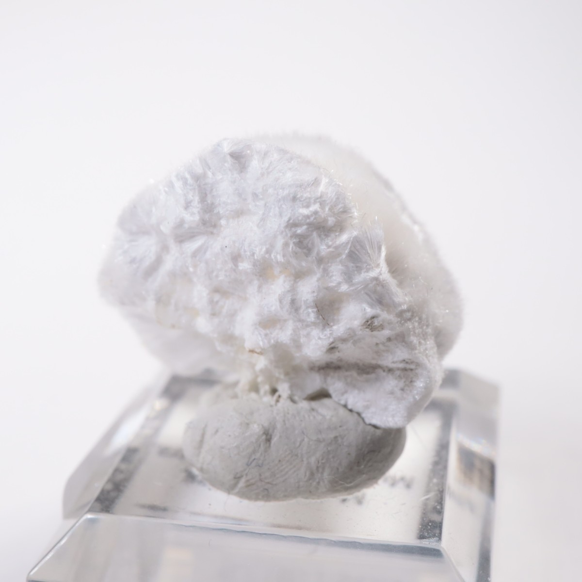 ����ɻ� �����ʥ���