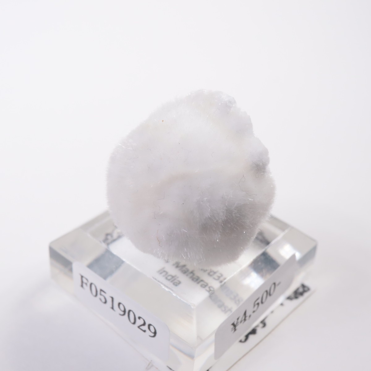 ����ɻ� �����ʥ���