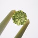 ꥽٥롡0.47ct