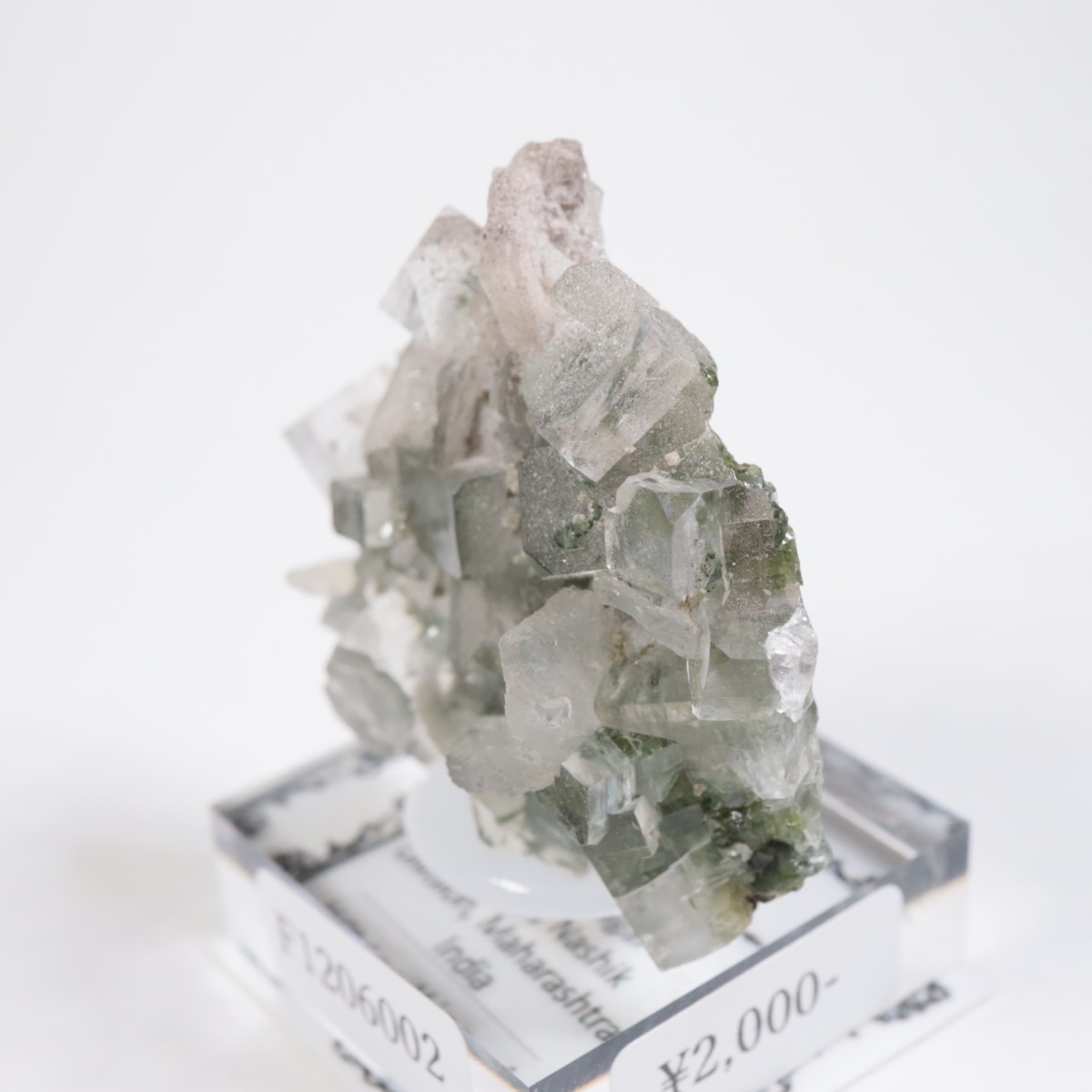 ����ɻ� ���ݥե��饤��