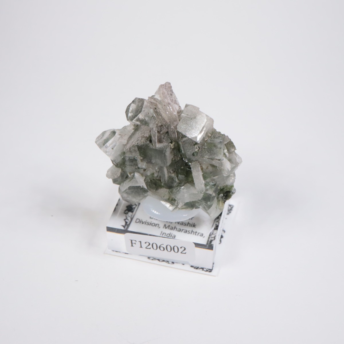 ����ɻ� ���ݥե��饤��