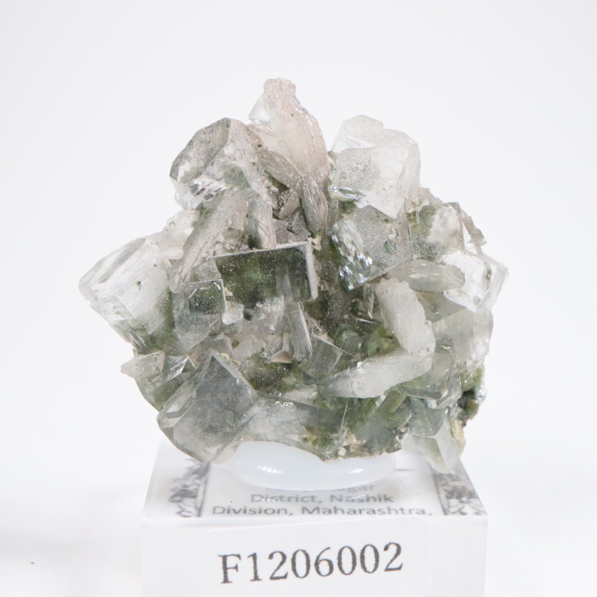 ����ɻ� ���ݥե��饤��